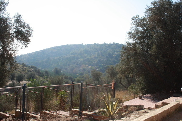 Limit 600x450 image