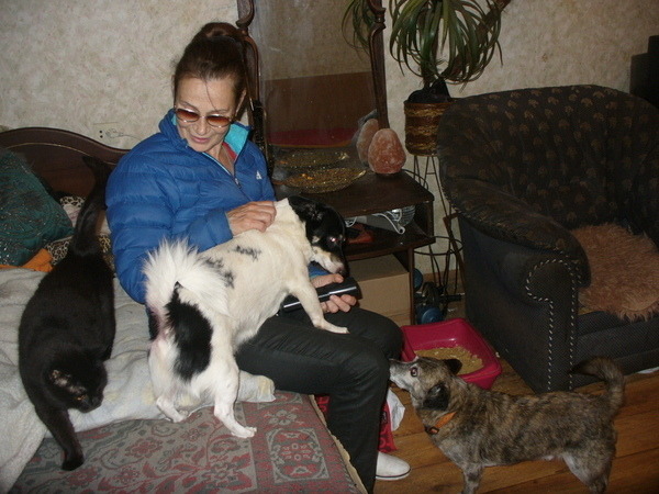 Limit 600x450 image